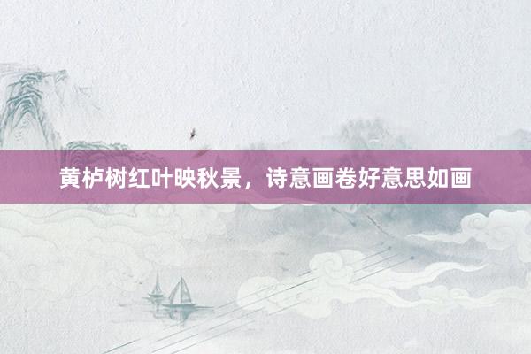 黄栌树红叶映秋景，诗意画卷好意思如画