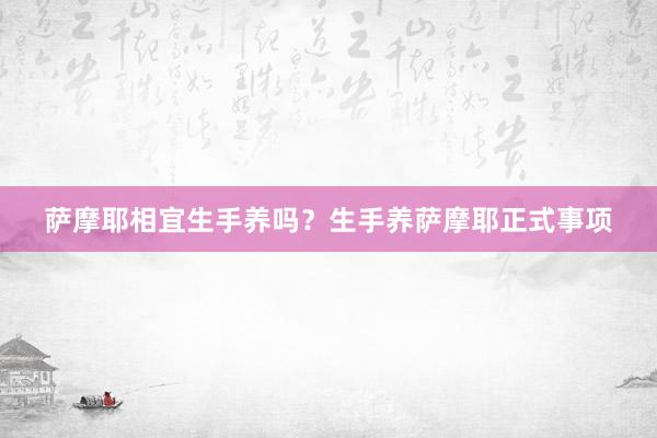 萨摩耶相宜生手养吗？生手养萨摩耶正式事项