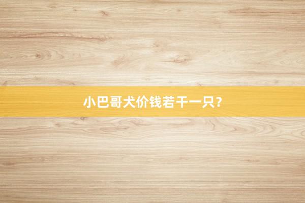 小巴哥犬价钱若干一只？