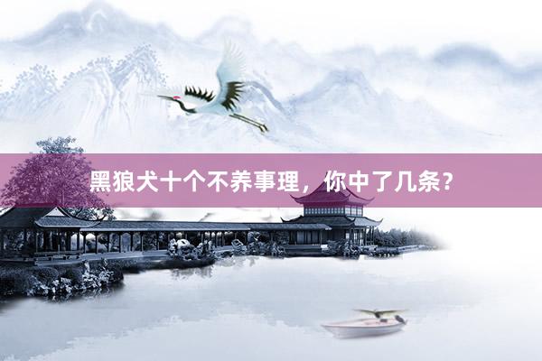 黑狼犬十个不养事理，你中了几条？